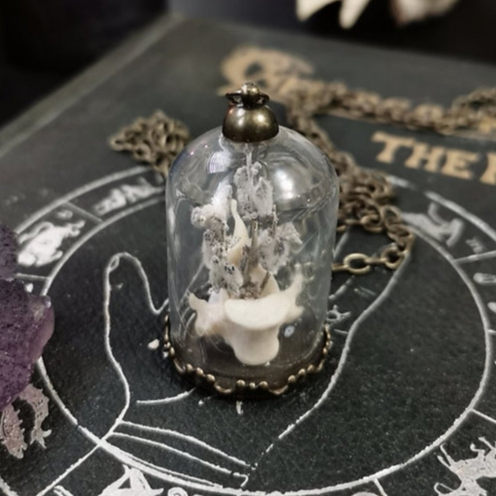 Curio Jar Necklace